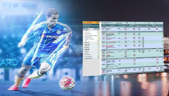 Kèo bóng đá là gì? Tìm hiểu về các tỷ lệ kèo chấp bóng đá