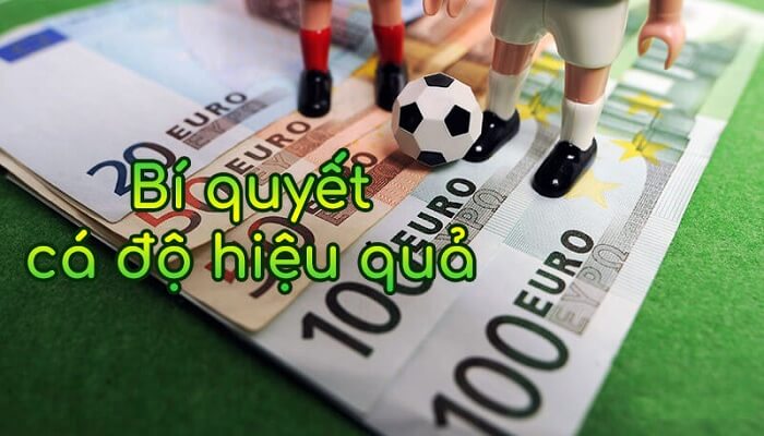 Hướng dẫn cách đặt kèo bóng đá hiệu quả dành cho người chơi mới