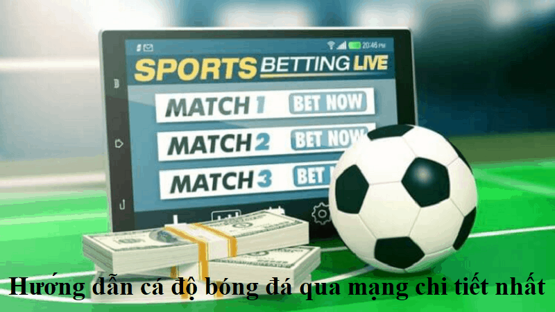 Hướng dẫn cá độ bóng đá qua mạng chi tiết nhất