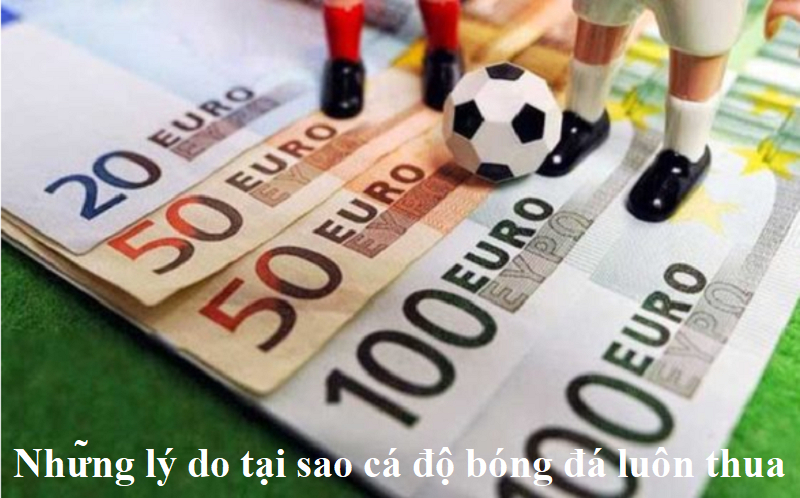 Những lý do tại sao cá độ bóng đá luôn thua
