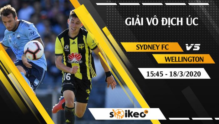 Soi kèo Sydney FC vs Wellington Phoenix vào 15h45 ngày 18/3/2020