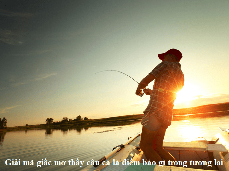 Giải mã giấc mơ thấy câu cá là điềm báo gì trong tương lai