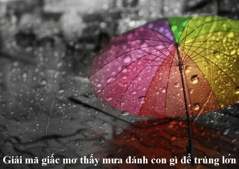 Giải mã giấc mơ thấy mưa đánh con gì để trúng lớn