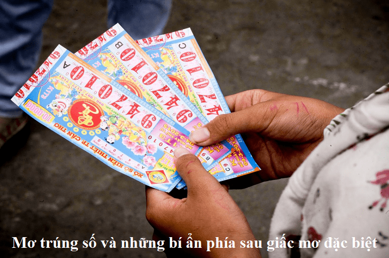 Mơ trúng số và những bí ẩn phía sau giấc mơ đặc biệt