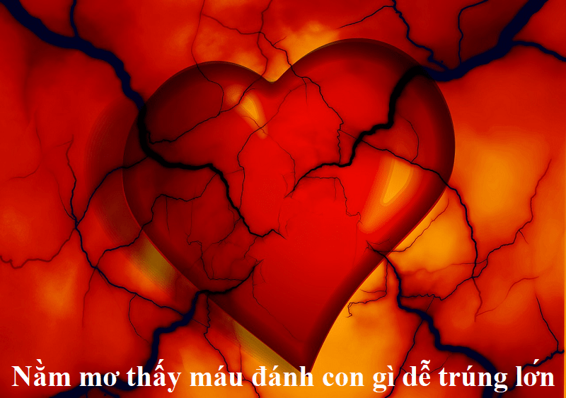 Nằm mơ thấy máu đánh con gì dễ trúng lớn