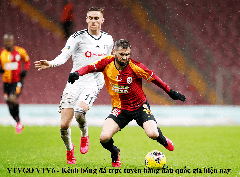 VTVGO VTV6 – Kênh bóng đá trực tuyến hàng đầu quốc gia hiện nay