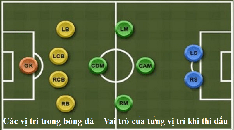 Các vị trí trong bóng đá – Vai trò của từng vị trí khi thi đấu