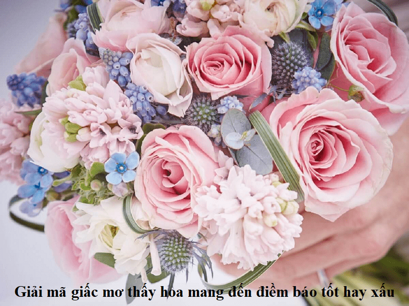 Giải mã giấc mơ thấy hoa mang đến điềm báo tốt hay xấu