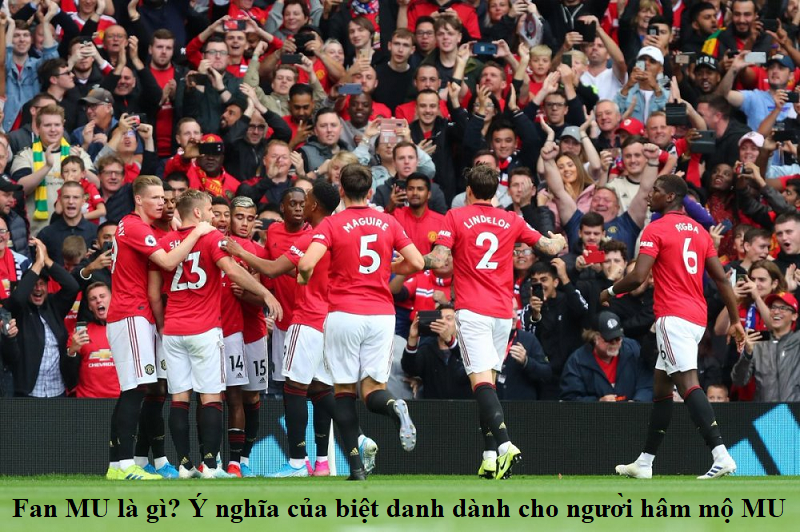 Fan MU là gì? Ý nghĩa của biệt danh dành cho người hâm mộ MU