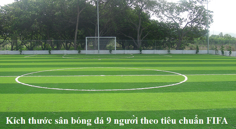 Kích thước sân bóng đá 9 người theo tiêu chuẩn FIFA