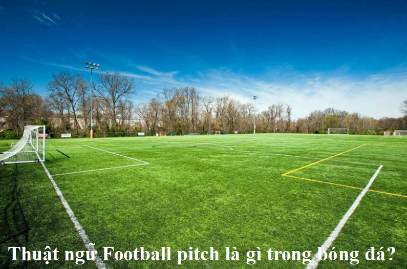 Thuật ngữ Football pitch là gì trong bóng đá?