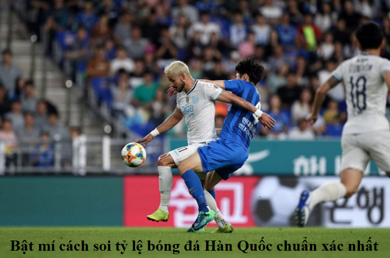 Bật mí cách soi tỷ lệ bóng đá Hàn Quốc chuẩn xác nhất
