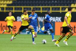 Soi kèo Hoffenheim vs Borussia Dortmund vào 1h30 ngày 30/9/2023