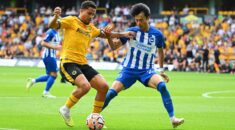 Soi kèo Brighton vs Wolves vào 2h45 ngày 23/1/2024