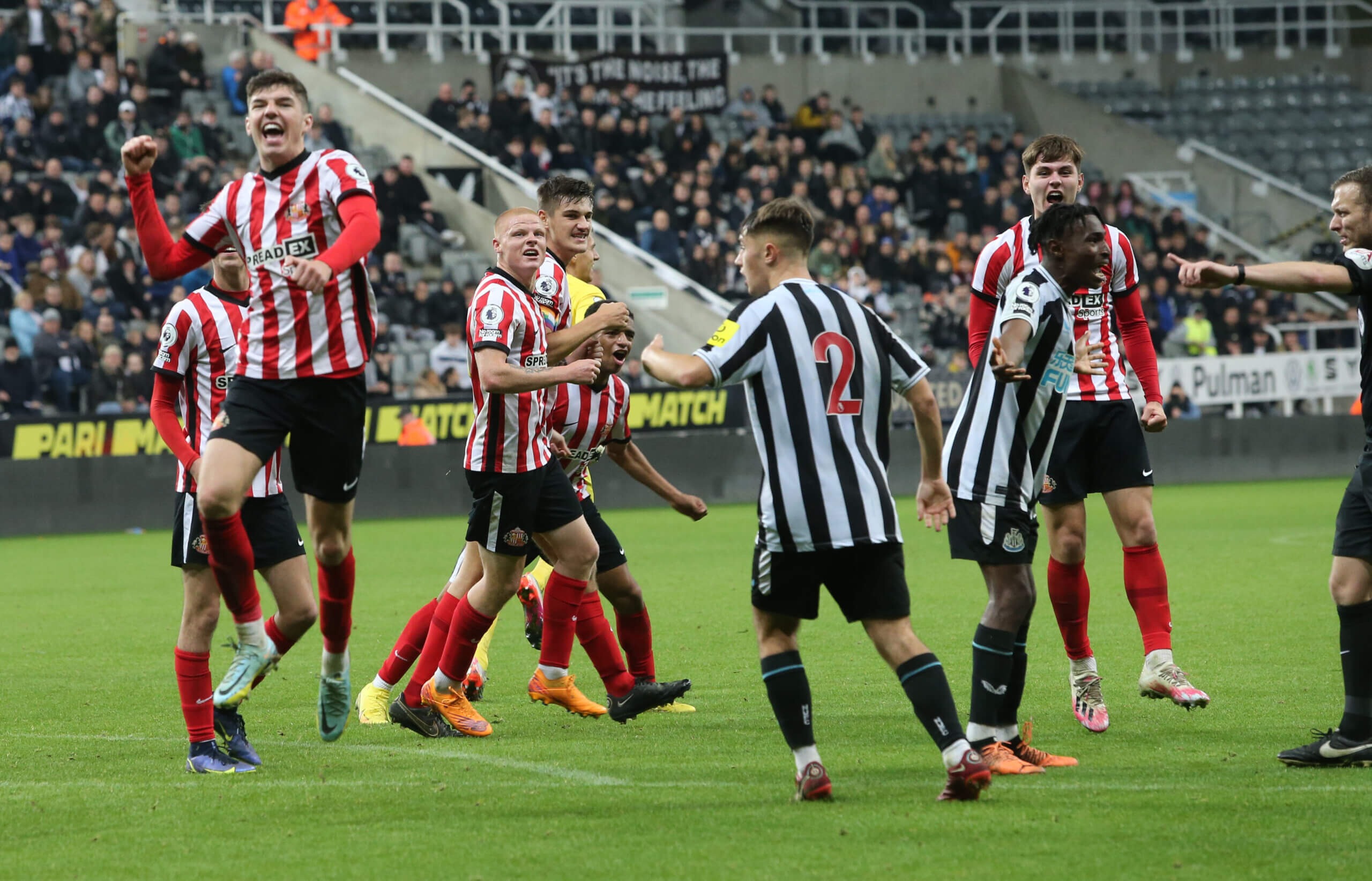 Soi kèo Sunderland vs Newcastle United vào 19h45 ngày 6/1/2024
