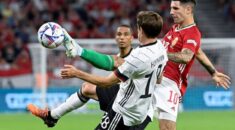 Soi kèo Đức vs Hungary vào 23h ngày 19/6/2024