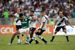 Soi kèo Palmeiras vs Vasco da Gama vào 7h30 ngày 14/6/2024