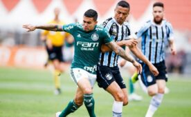 Soi kèo Gremio vs Palmeiras vào 5h ngày 5/7/2024